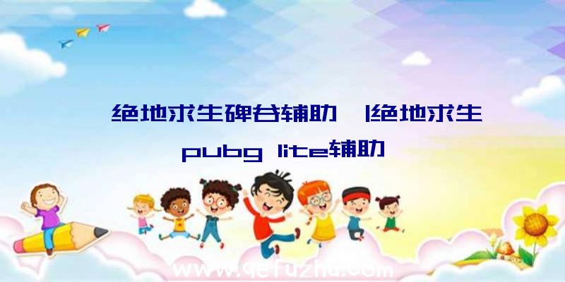 「绝地求生碑谷辅助」|绝地求生pubg